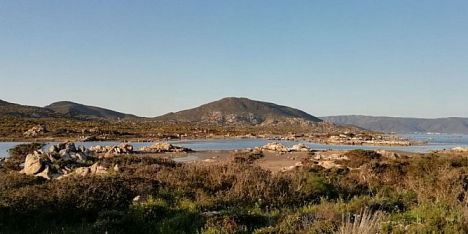 Antincendio all´Asinara: Forestas attiva da venerdì