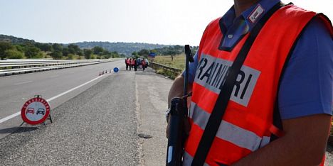 Animali per strada: incidente sulla Statale 129